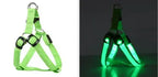 Harnais de poitrine pour chien - Charging mode / 43-60cm / france