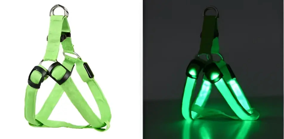 Harnais de poitrine pour chien - Charging mode / 43-60cm / france