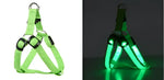 Harnais de poitrine pour chien - Charging mode / 43-60cm / france