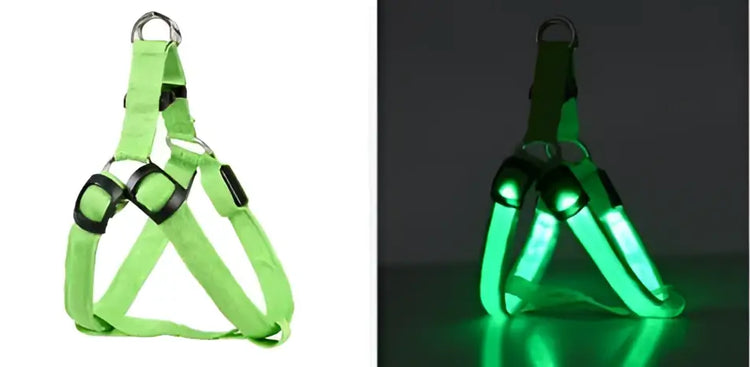 Harnais de poitrine pour chien - Charging mode / 43-60cm / france