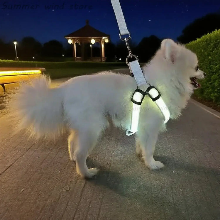 Harnais de poitrine pour chien