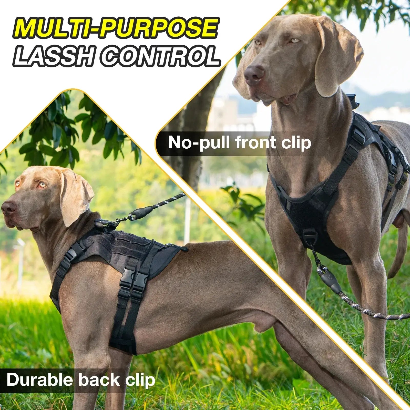 Harnais de traction pour chien