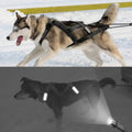 Harnais de traîneau étanche pour chien - black / chest 95 to 115cm