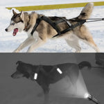Harnais de traîneau étanche pour chien - black / chest 95 to 115cm