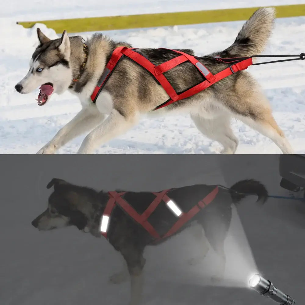 Harnais de traîneau étanche pour chien - red / chest 65 to 85cm