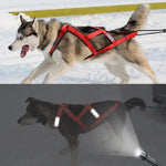 Harnais de traîneau étanche pour chien - red / chest 65 to 85cm