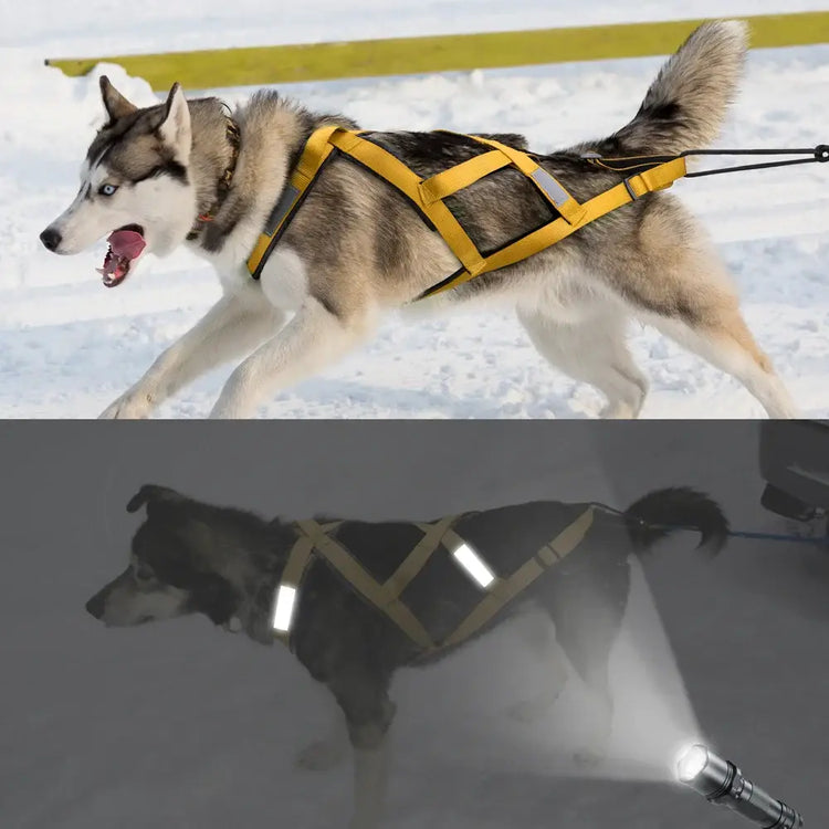 Harnais de traîneau étanche pour chien - yellow / chest 75 to 95cm