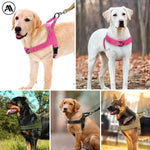 Harnais durable en nylon pour chien