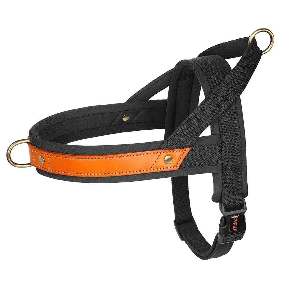 Harnais en cuir pour chien - black / L / spain