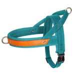 Harnais en cuir pour chien - Blue / S / france