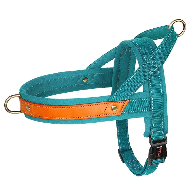 Harnais en cuir pour chien - Blue / S / france