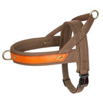 Harnais en cuir pour chien - Coffee / S / spain