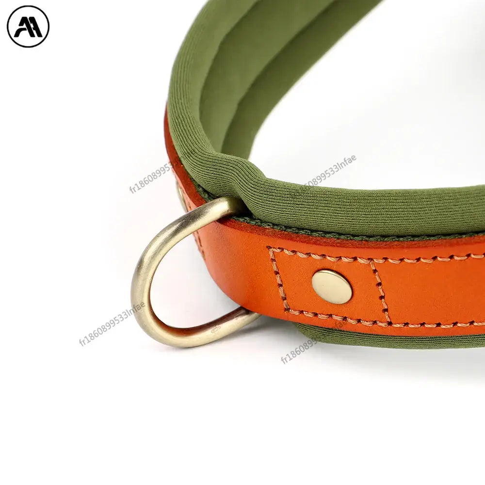 Harnais en cuir pour chien