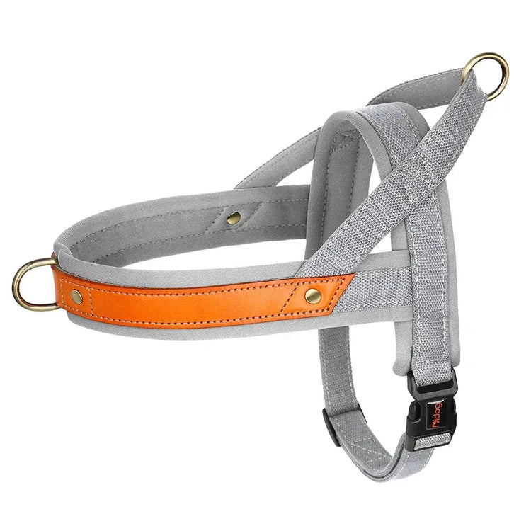 Harnais en cuir pour chien - GRAY / L / spain