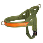 Harnais en cuir pour chien - green / S / spain