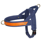 Harnais en cuir pour chien - Navy Blue / L / spain