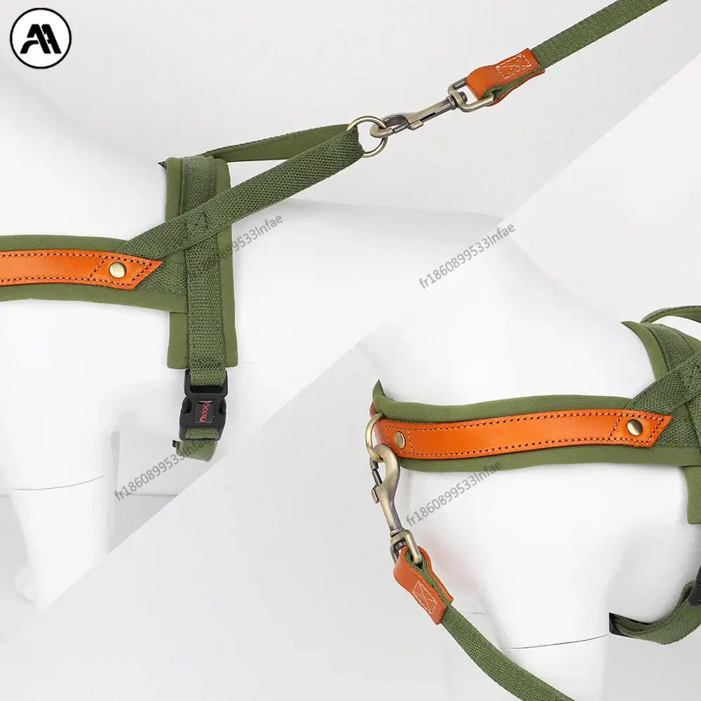 Harnais en cuir pour chien