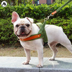 Harnais en cuir pour chien