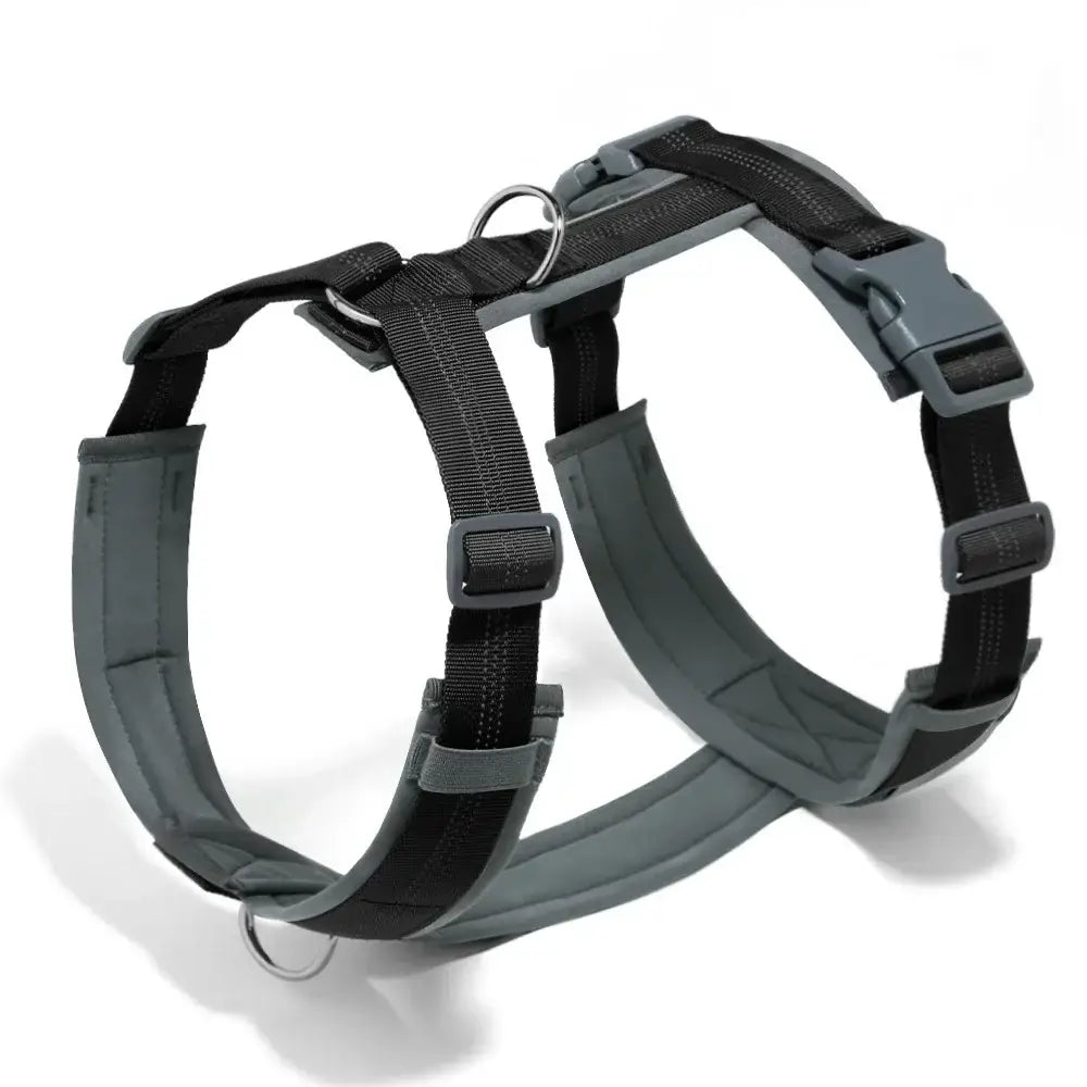Harnais en forme de H pour chien - black / XS / france