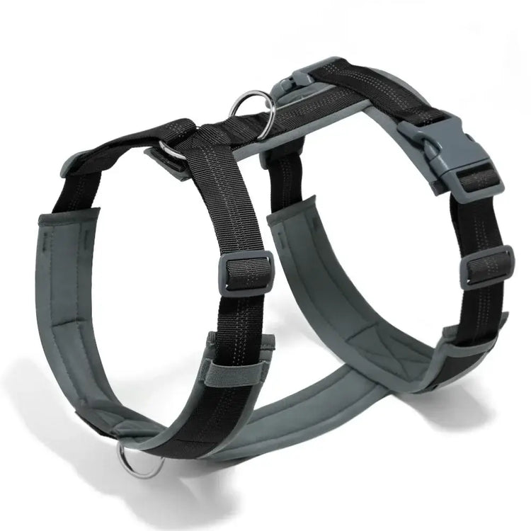 Harnais en forme de H pour chien - black / XS / france