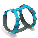 Harnais en forme de H pour chien - Blue / S / france