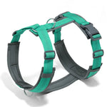 Harnais en forme de H pour chien - green / XS / france
