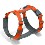 Harnais en forme de H pour chien - Orange / S / france