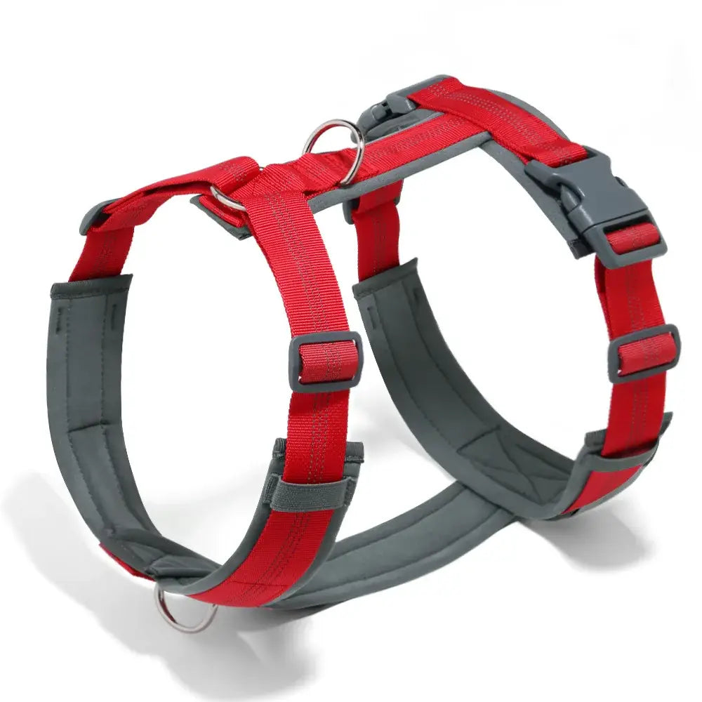 Harnais en forme de H pour chien - Red / XS / france