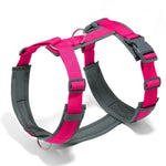 Harnais en forme de H pour chien - Rose / S / france