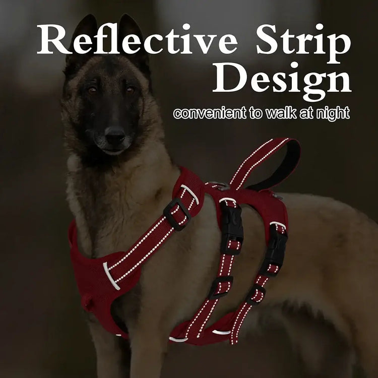 Harnais étanche pour chien