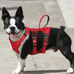 Harnais étanche pour chien