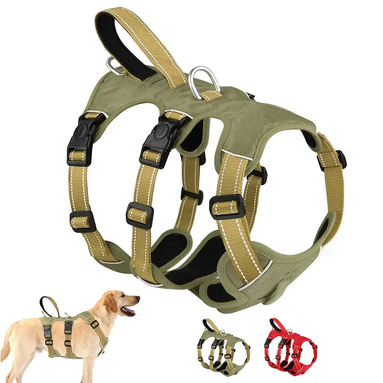 Harnais étanche pour chien
