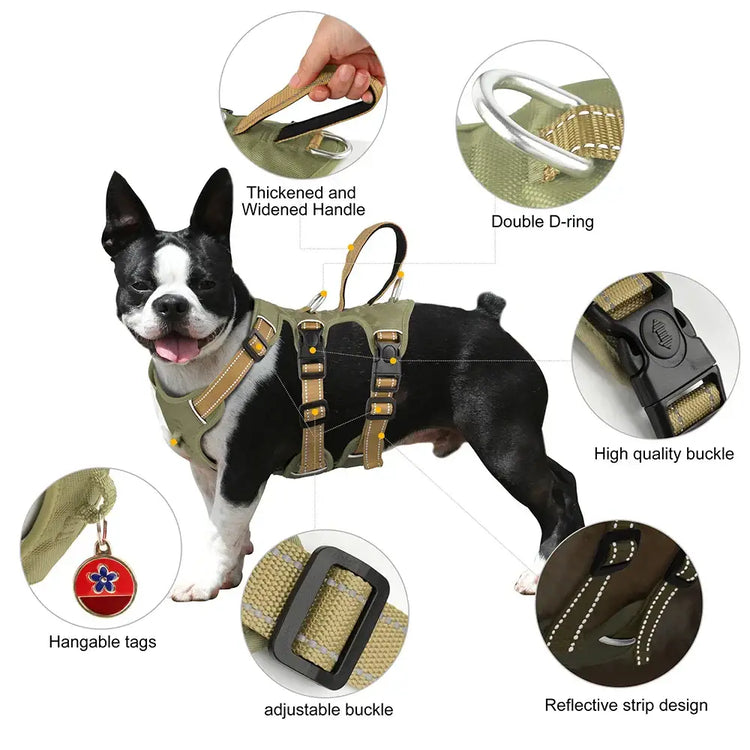 Harnais étanche pour chien