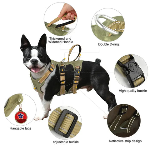 Harnais étanche pour chien