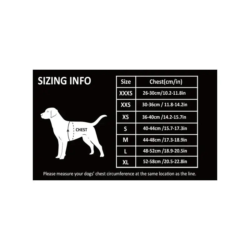 Harnais fleuri pour chien