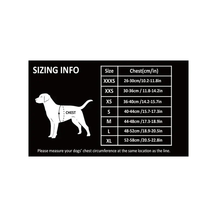Harnais fleuri pour chien