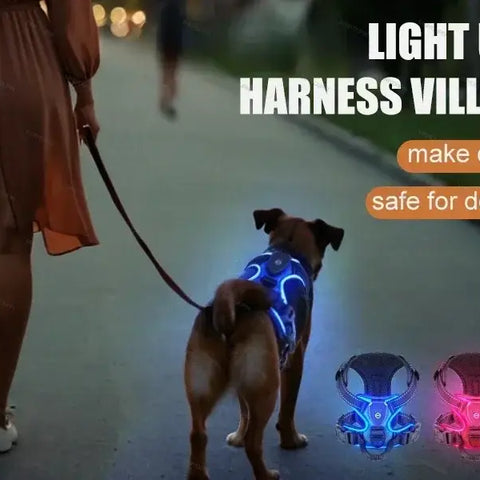 Harnais lumineux LED pour chiens - france / L / Green