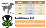 Harnais lumineux LED pour chiens