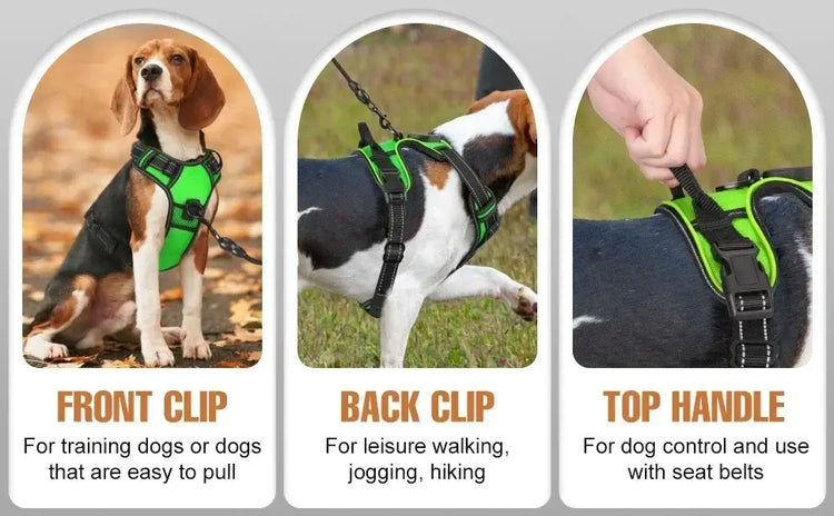 Harnais lumineux LED pour chiens