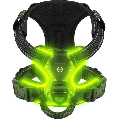 Harnais lumineux LED pour chiens - france / L / Green
