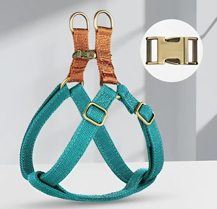Harnais pour chien en nylon - Blue / M / spain