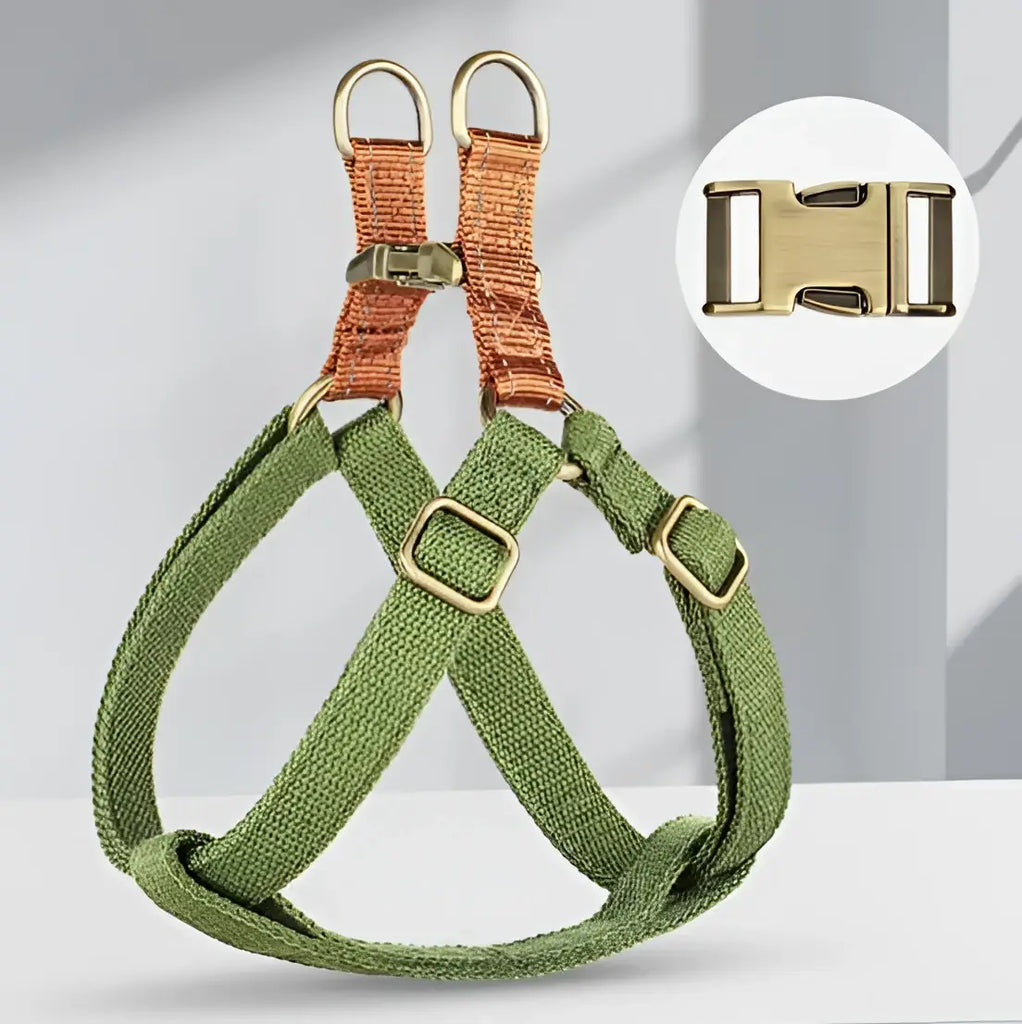 Harnais pour chien en nylon - green / M / spain
