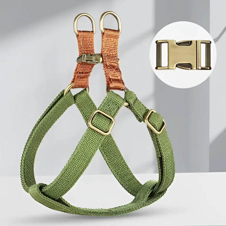 Harnais pour chien en nylon - green / M / spain