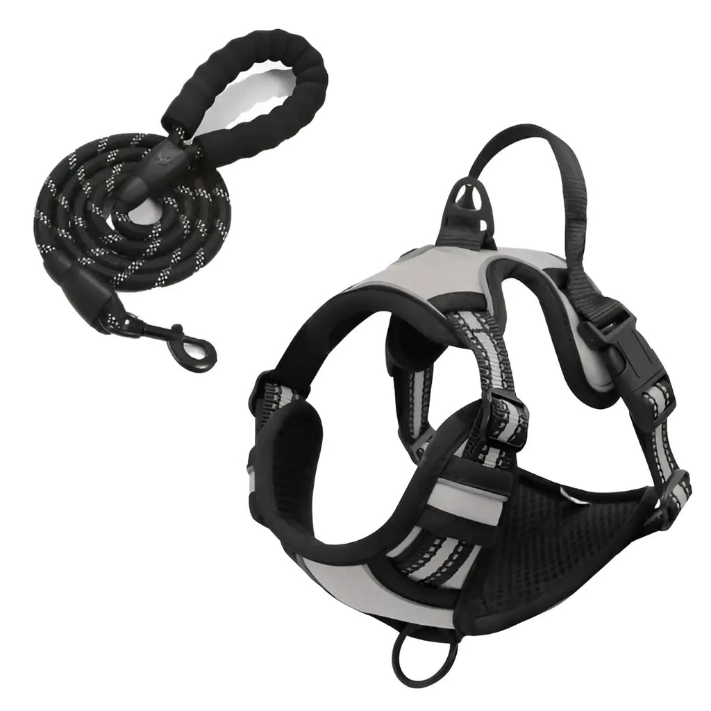Harnais pour chien en nylon réglable - france / Light Grey / M