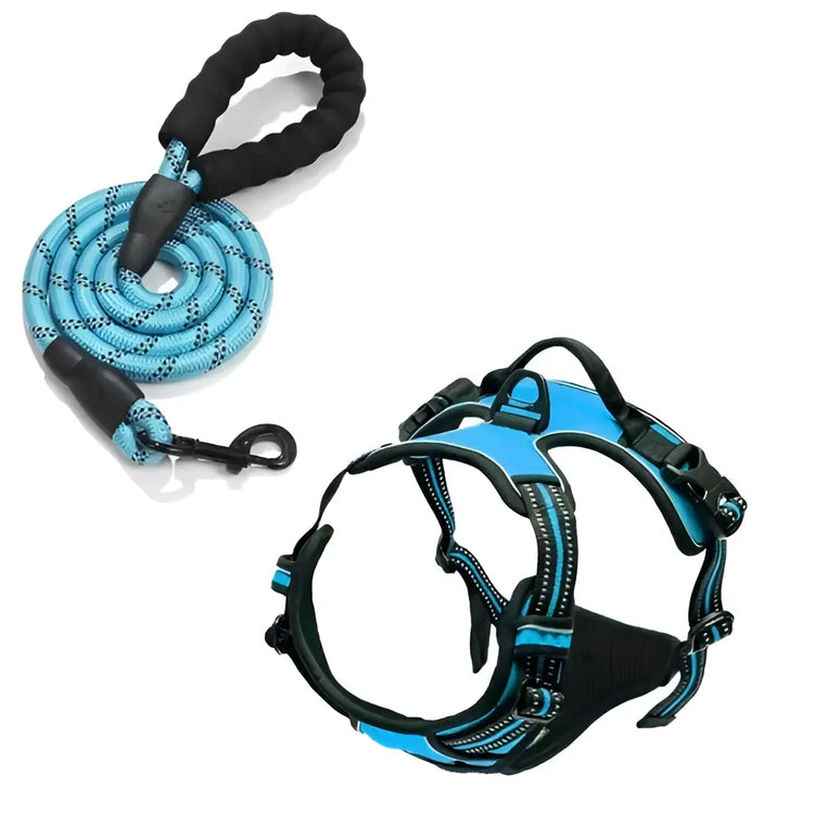 Harnais pour chien en nylon réglable - france / SKY BLUE / M