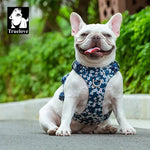 Harnais pour animaux Truelove en coton
