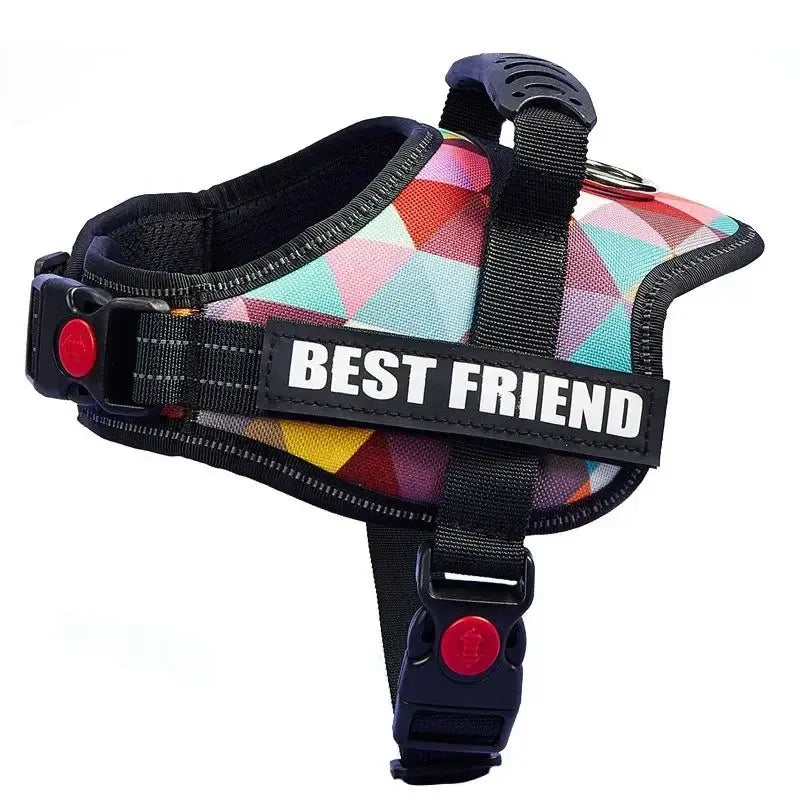 Harnais pour chien avec nom personnalisé