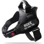 Harnais pour chien avec nom personnalisé - black / XXL