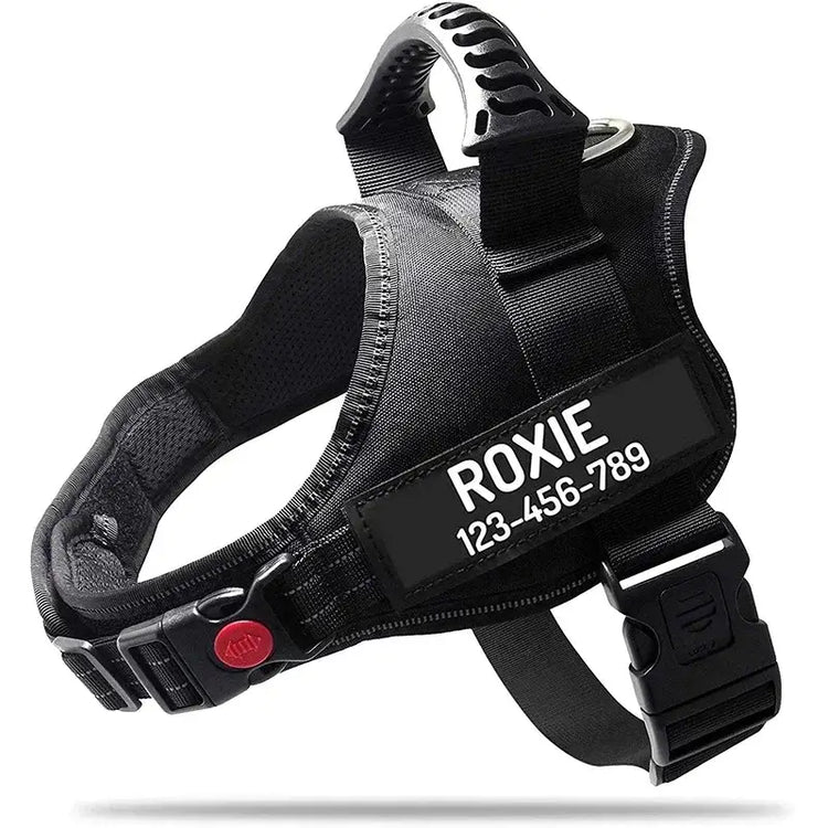 Harnais pour chien avec nom personnalisé - black / XXL