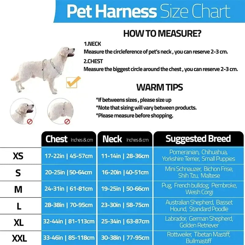 Harnais pour chien avec nom personnalisé